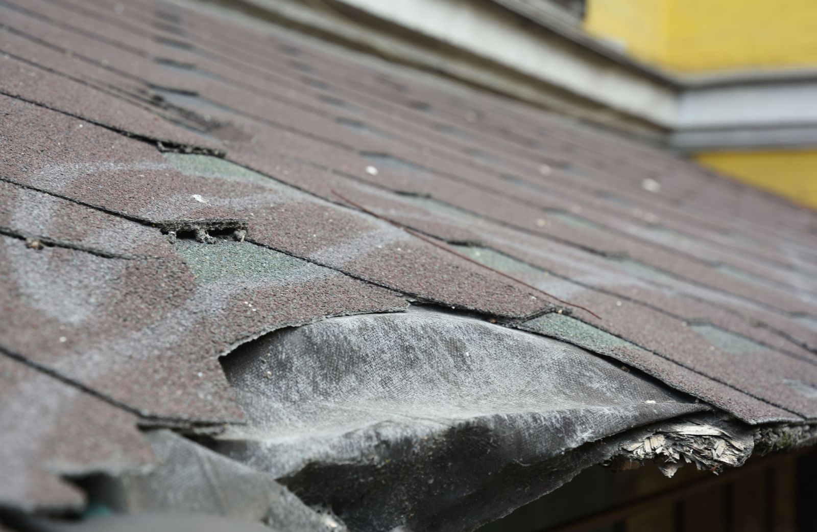 Bedard's Roofing Company Images
