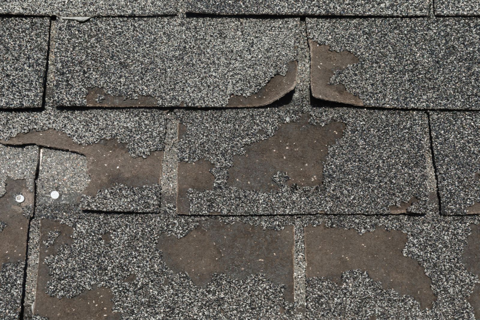 Bedard's Roofing Company Images