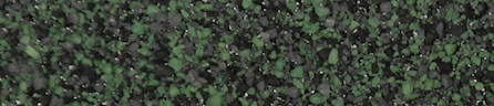 Bedard's Roofing Company Images