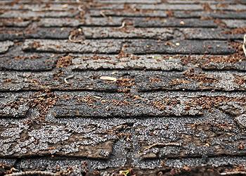 B.R.C. Roofing Images